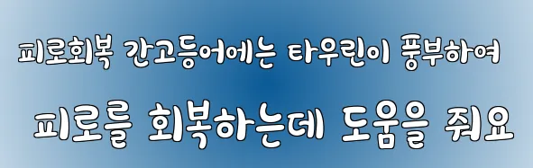 피로회복 간고등어에는 타우린이 풍부하여 피로를 회복하는데 도움을 줘요