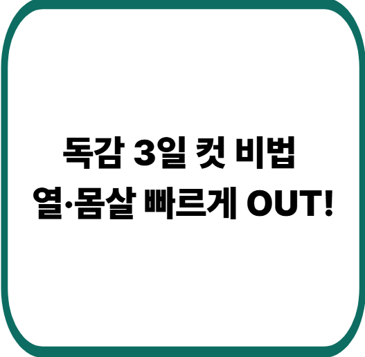 독감 빨리 낫는 방법 : 집에서 회복 속도 2배 높이는 꿀팁