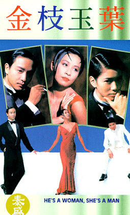 영화 금지옥엽 메인 포스터 장국영 원영의 주연 1994년 홍콩 로맨틱 코미디