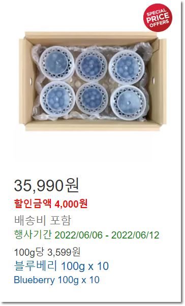 코스트코-블루베리