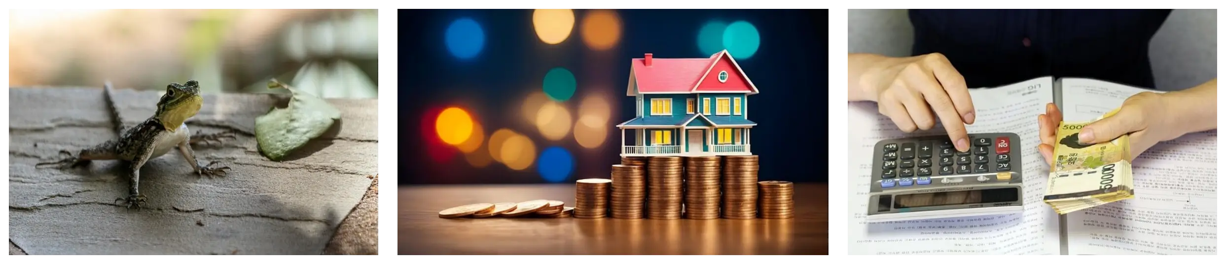 다음에 더 나은 나로 돌아오는 전시회