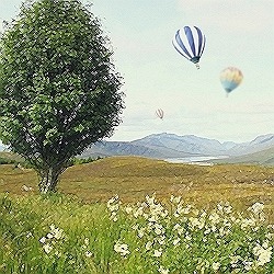 제주도주요지원제도-장단점-벌룬