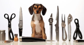 강아지 발톱깍기/출처:어도비스톡