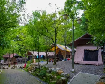 서울대공원 캠핑장 예약_10