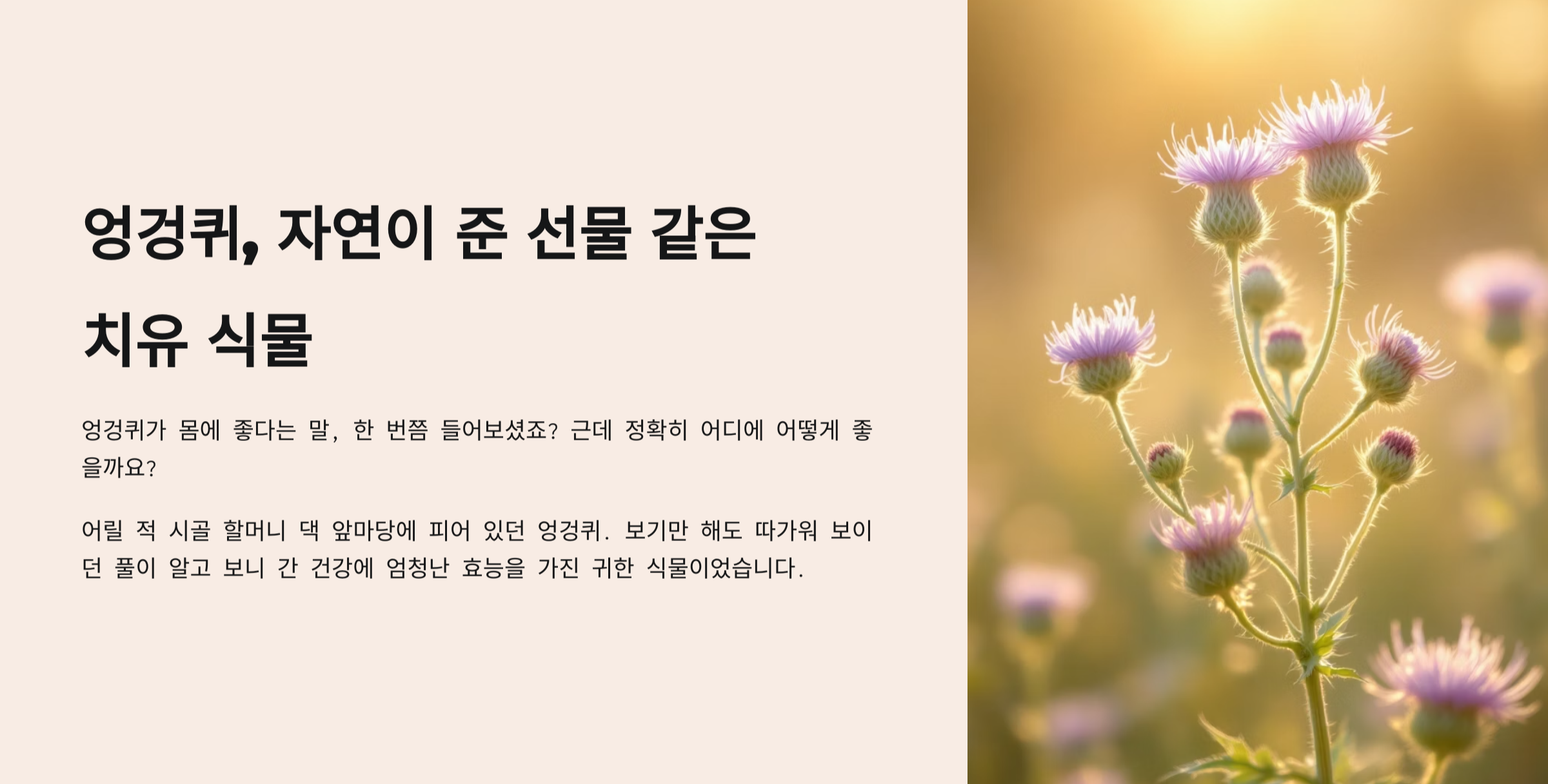 엉겅퀴
