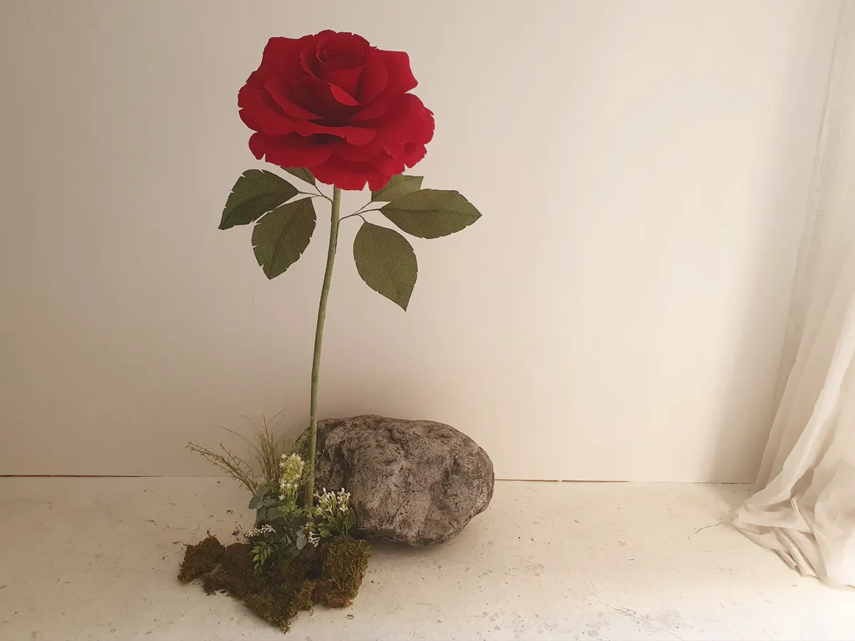 레드-자이언트-장미꽃