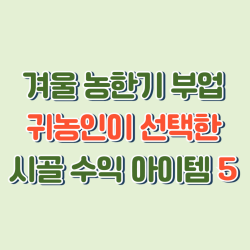 &ldquo;겨울 농한기 부업 TOP5｜귀농인의 현실 수익 아이템 ❄️눈 내리는 시골에서도 돈 번다!&rdquo;