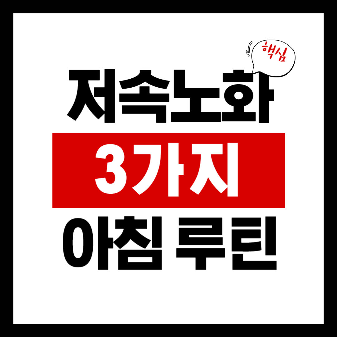 저속 노화를 위한 아침 루틴 TOP3 피부·체력·면역력을 젊게 유지하는 법