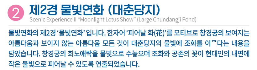 2025 창경궁 궁궐야행 예매 총정리(일정·할인·투어예매 완벽 가이드)