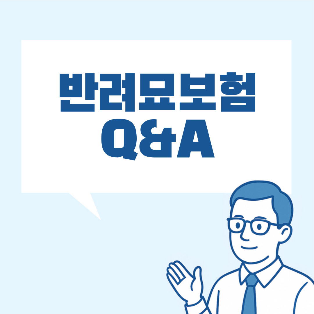 반려묘 보험 비교 설명 이미지