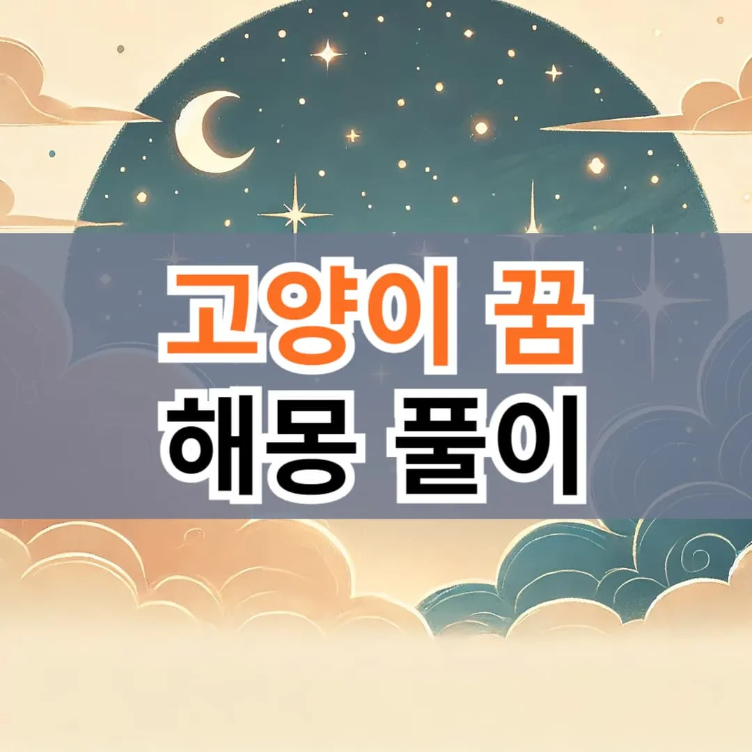 고양이 꿈 해몽 풀이 확인하기