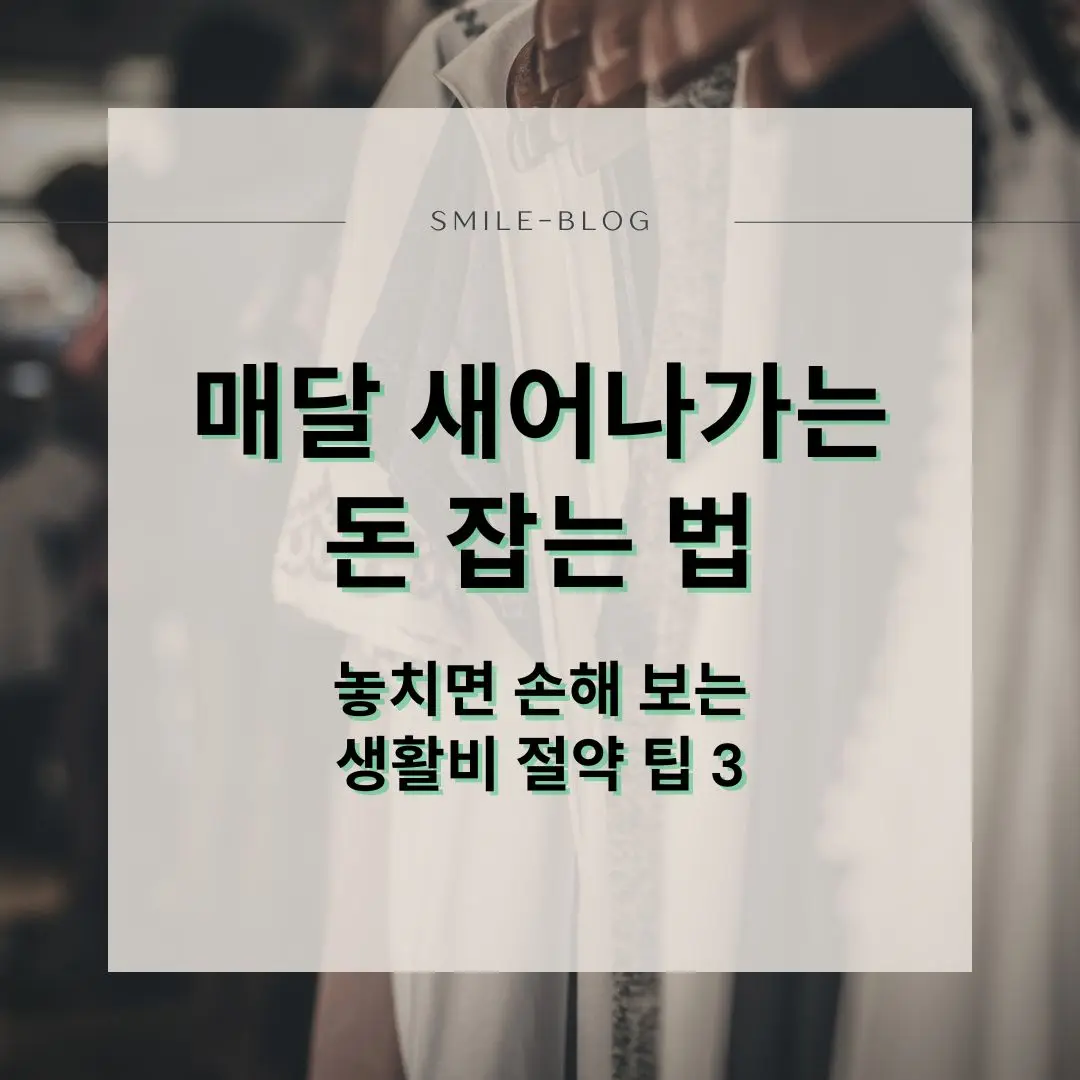 매달 새어나가는 고정지출과 생활비를 아끼는 3가지 절약 팁 안내 썸네일