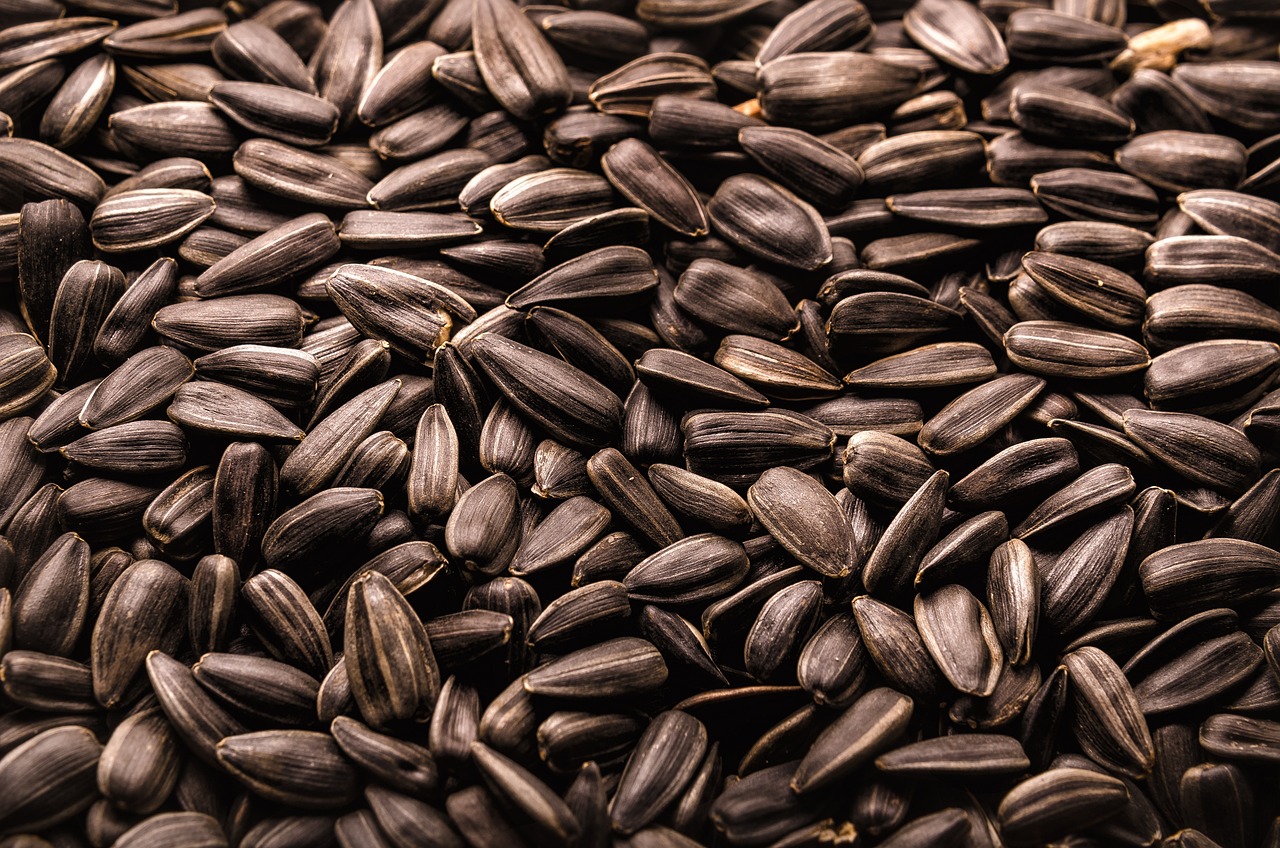 Phosphatidylserine 건강기능성분 : 제형비교, 복용방법, 음식, 효과, 정의