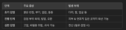 연조직염 증상 단계