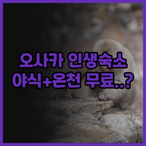도미인 오사카 다니마치 후기 무료 야..