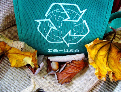 환경을 위한 대안적 포장재 소개