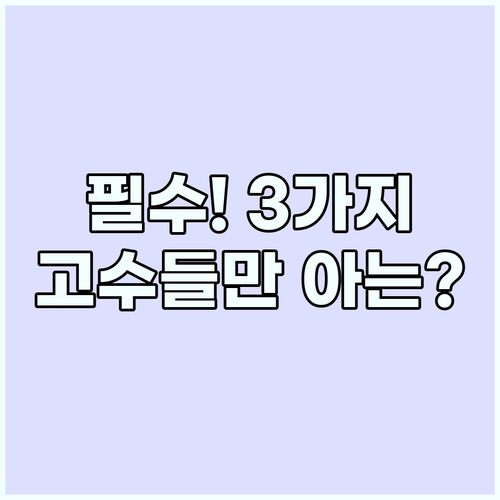 해외여행 고수들이 강조하는 3가지 필..