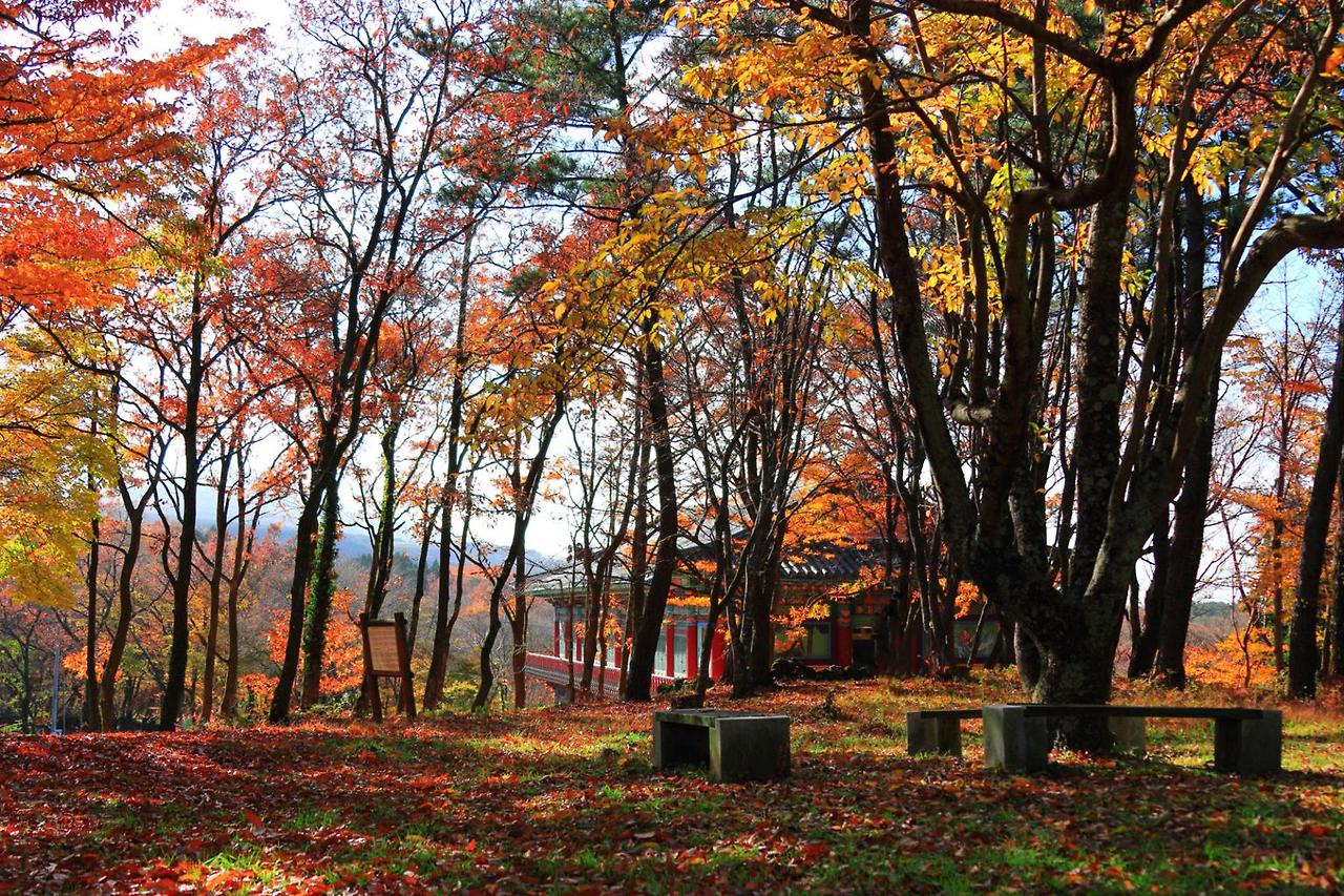 화담숲 입장권 예약하러 가기