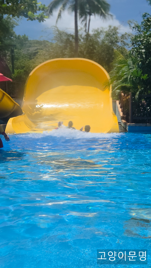 키즈 슬라이드들 - 총 3개가 있다.