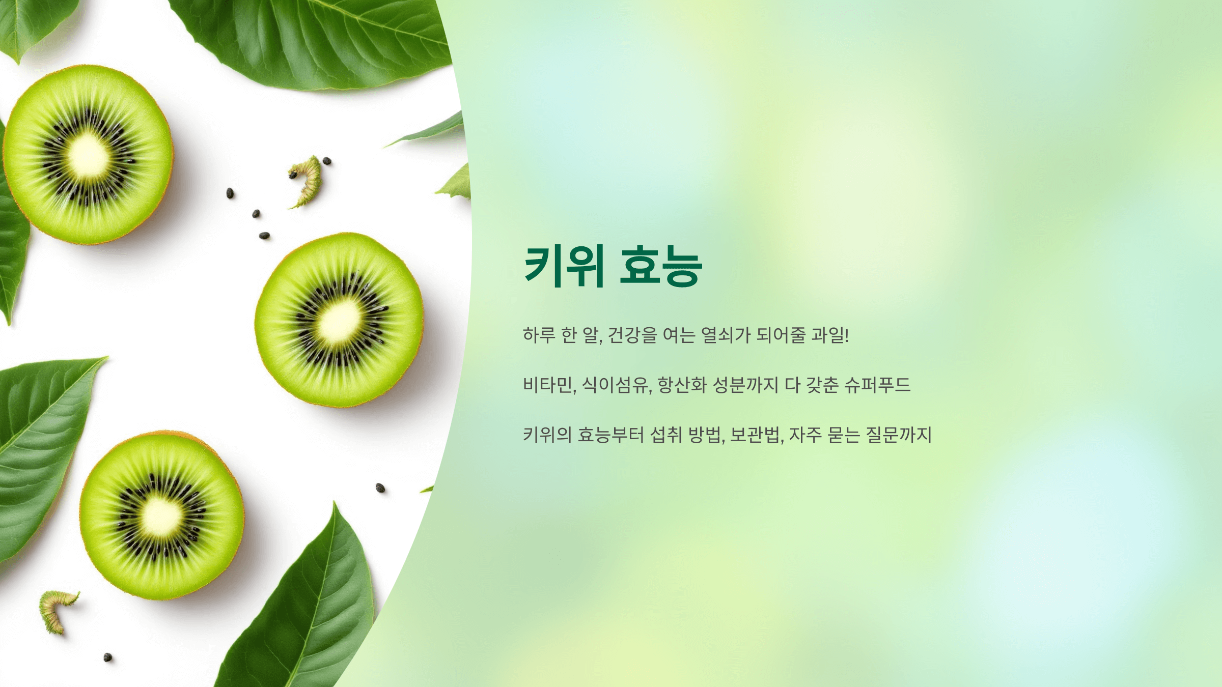 키위 사진입니다.