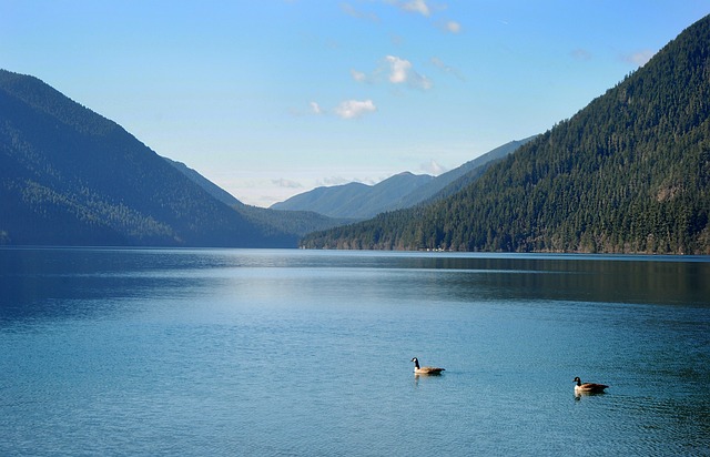 민생지원금 사용지역 