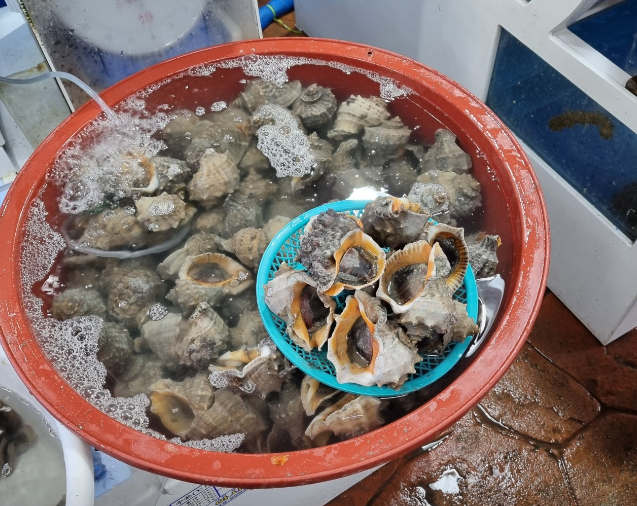 남해시장회센터4