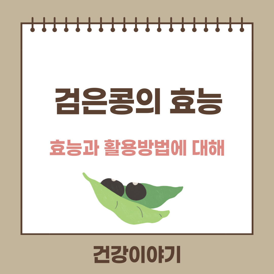 검은콩의 효능