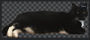 배경없어진 사진