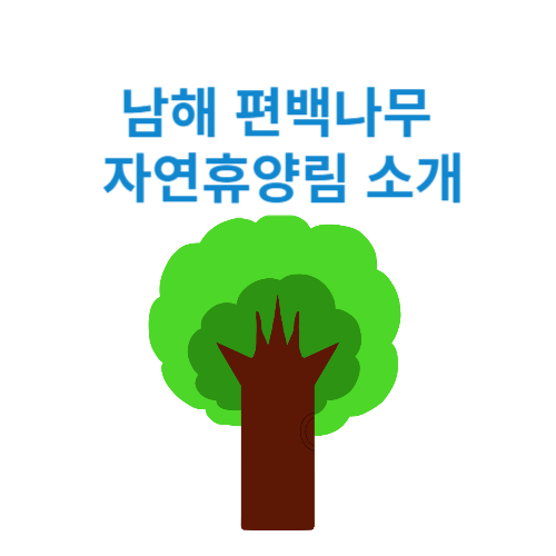 남해 편백자연휴양림 소개