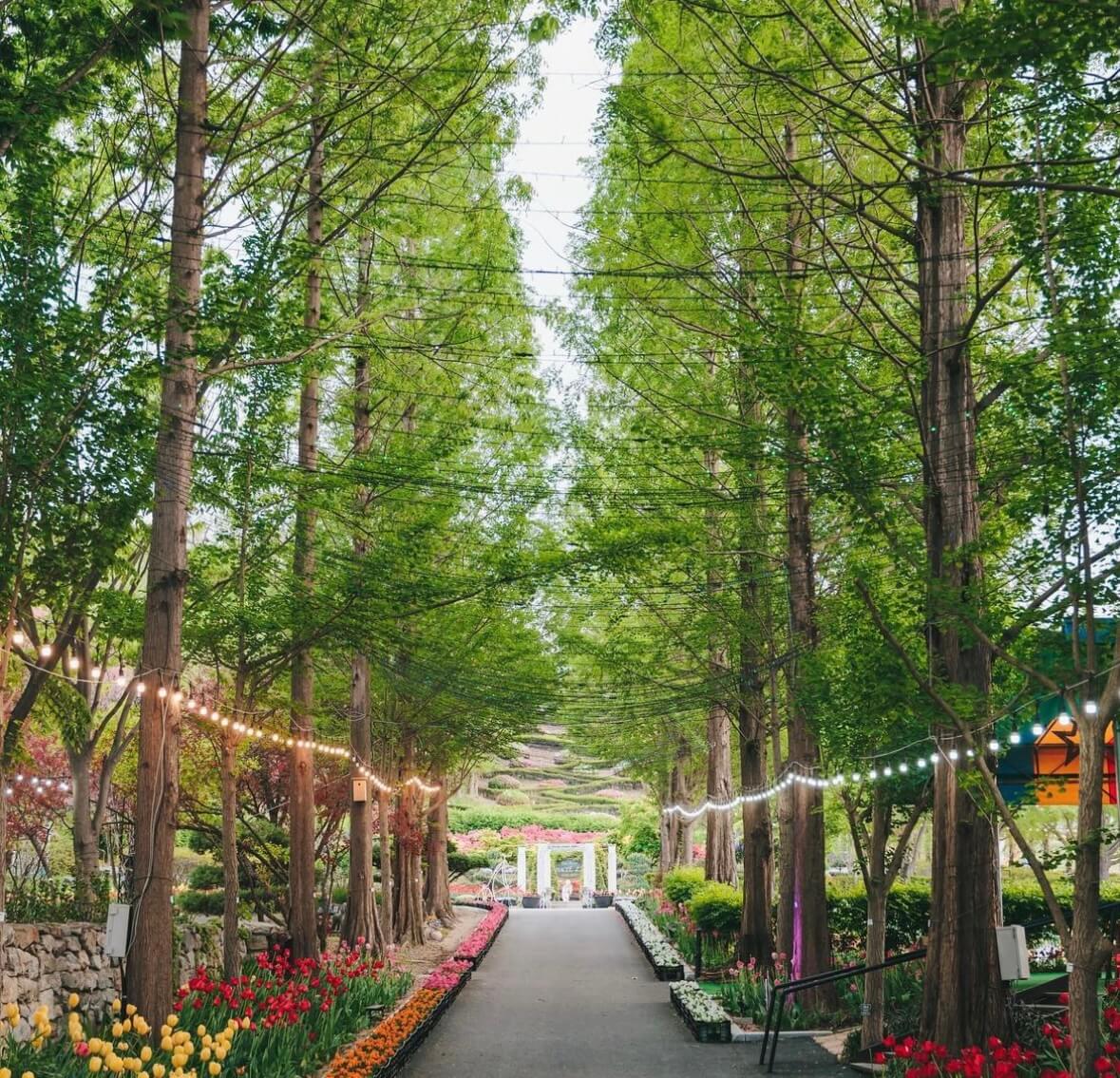 억만송이 봄꽃대향연 튤립 수선화 축제