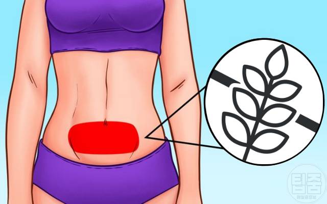 복통 위치별 원인 글루텐불내증 복통 배 위치 통증 배가 계속 아플때