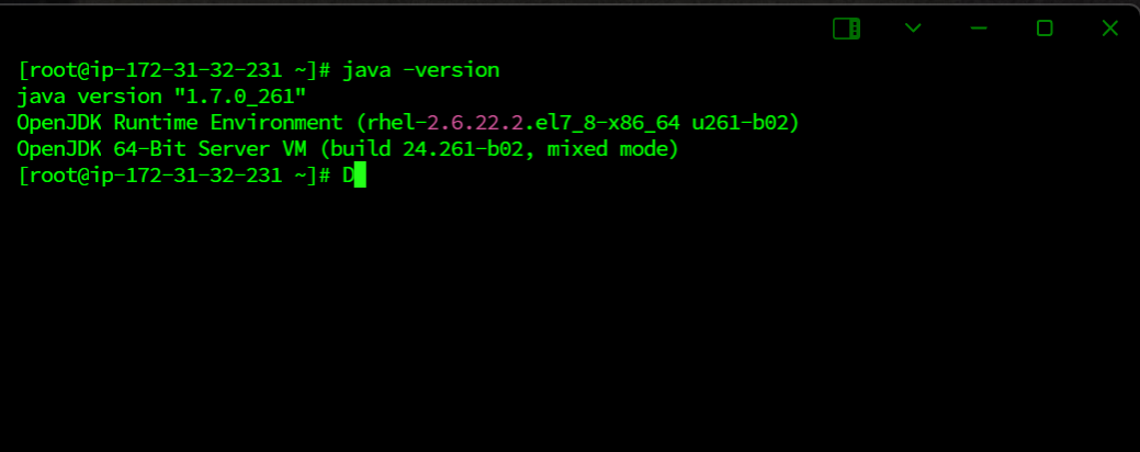 변경된 java 버전 확인