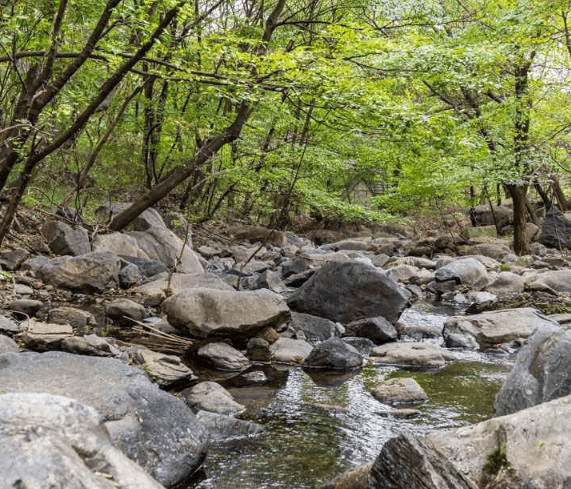 보령-명대골계곡