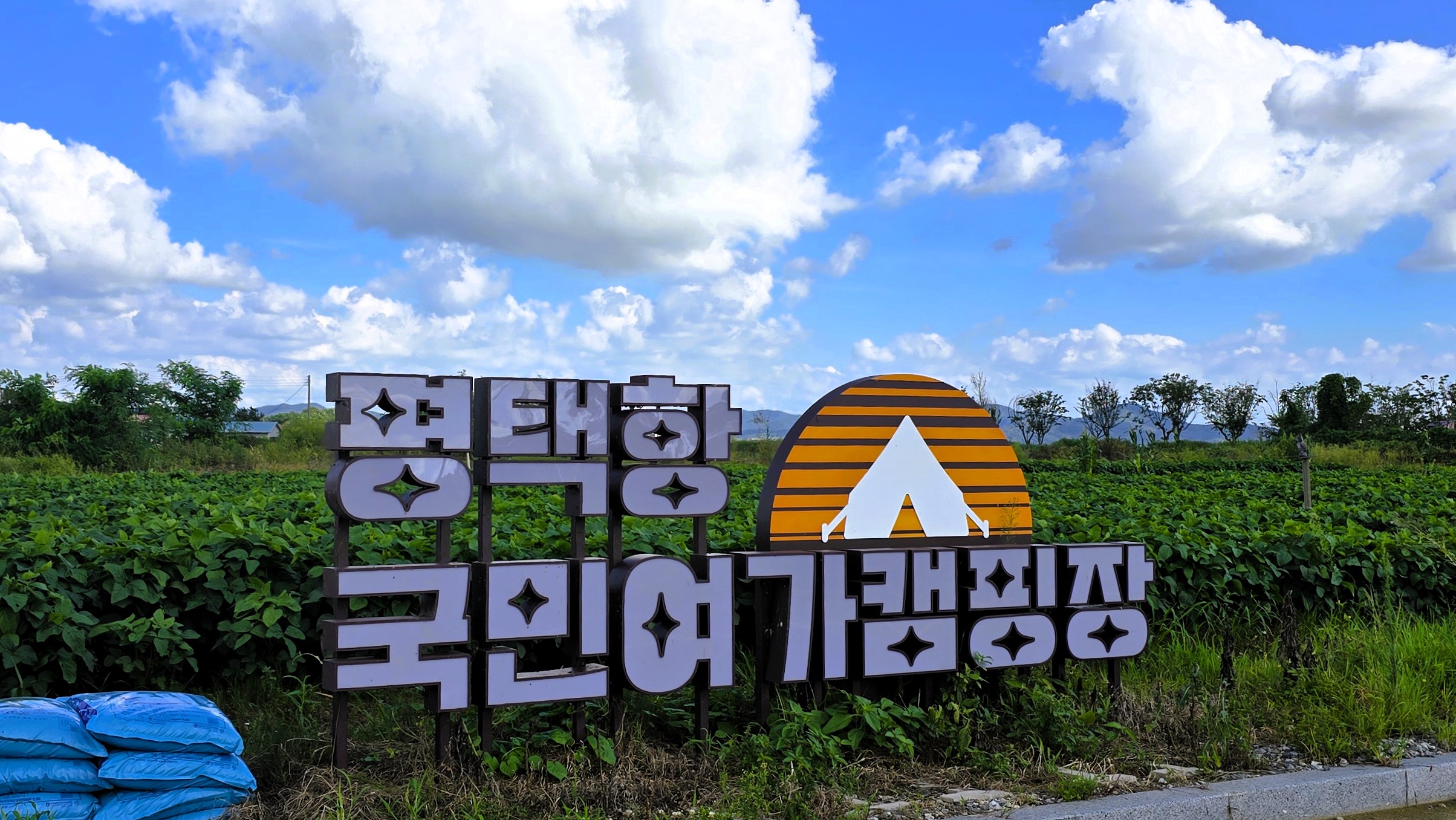 평택항 국민여가캠핑장∣예약 꿀팁 및 명당 추천, 카라반 진입 가능