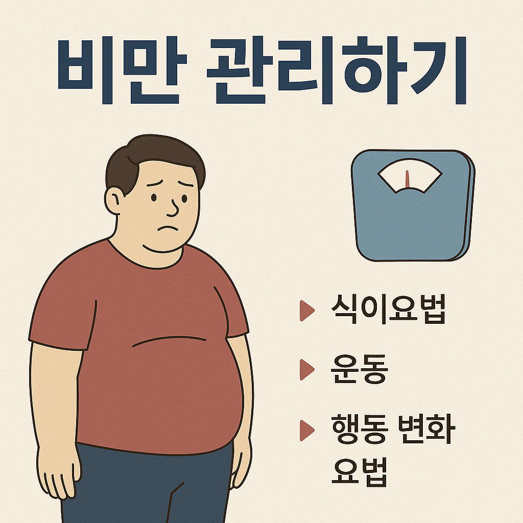 비만관리하기
