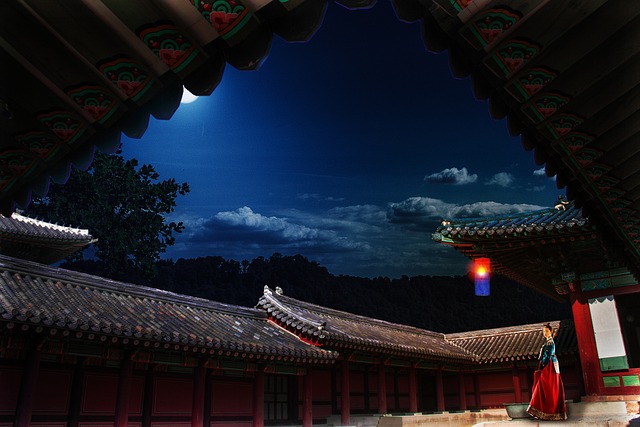 궁궐 안 마당에서 하늘을 올려다 본것 같은 그림