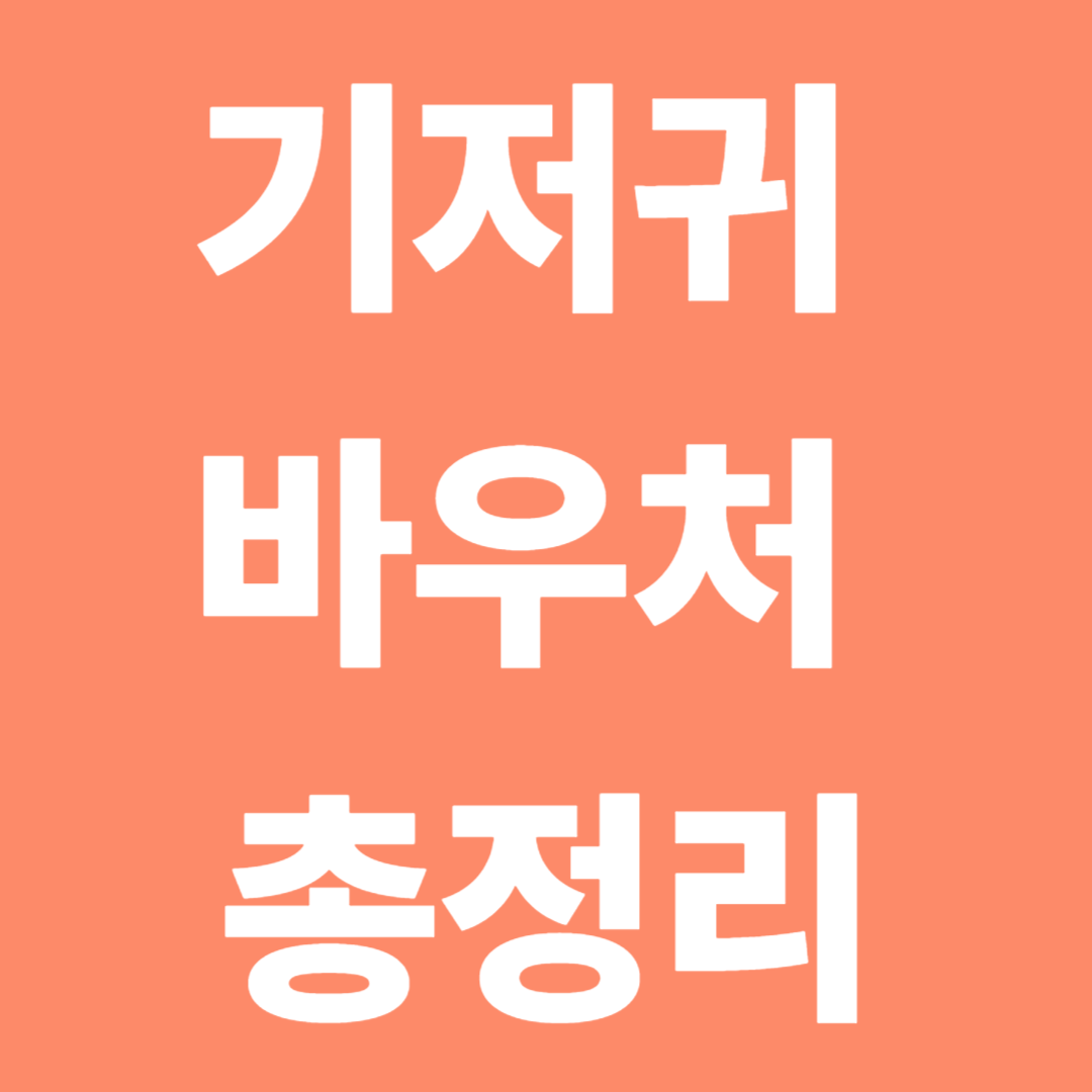 기저귀 바우처 총정리｜지원 대상·신청 방법·사용처