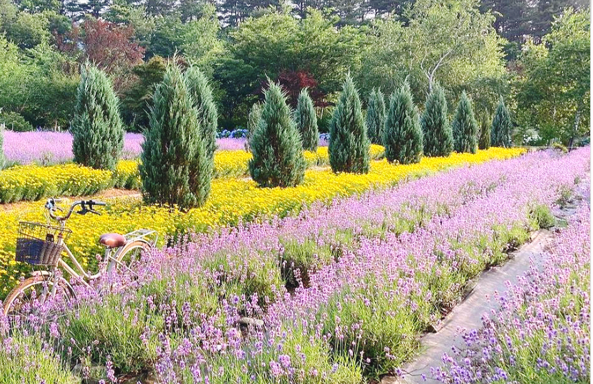 강원도 고성 여행지 관련 사진