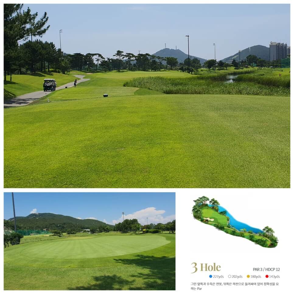 골프장 경험담 태안 스톤비치CC 완벽 가이드 서해 바다와 맞닿은 프리미엄 골프명소