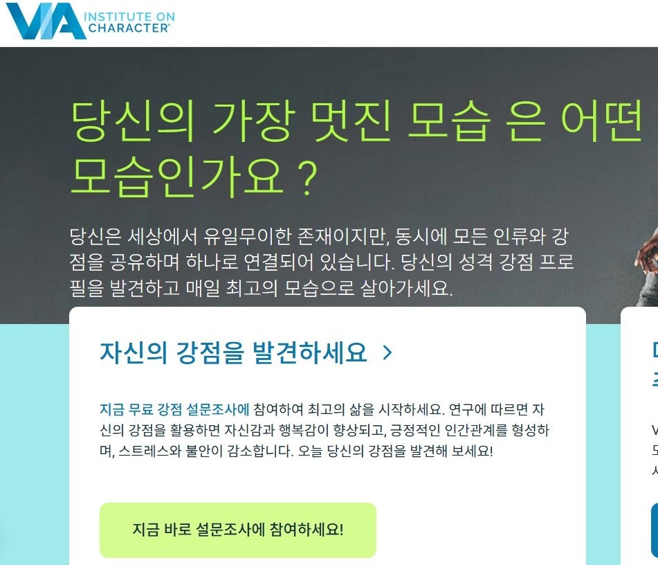 VIA 성격 강점 검사 공식 사이트 화면