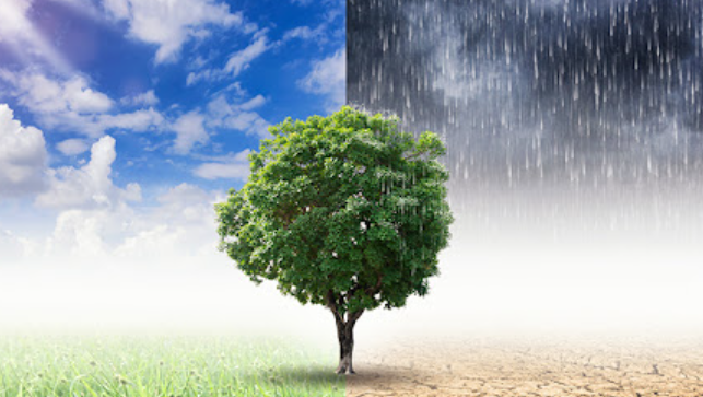 기후변화 관련 사진