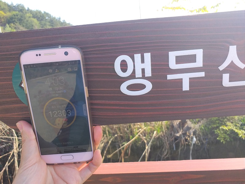 등산 칼로리