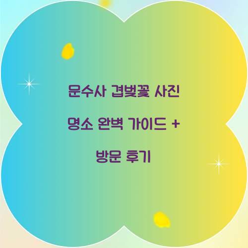 문수사 겹벚꽃 사진 명소