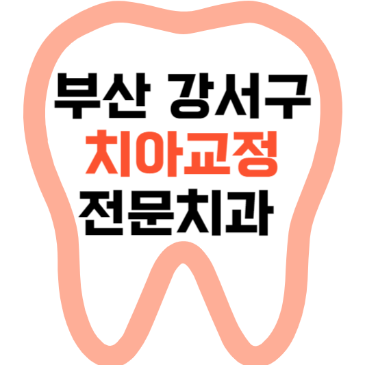 부산 강서구 치아교정 치과 잘하는 곳 전문 치과 추천 가격 비용.png