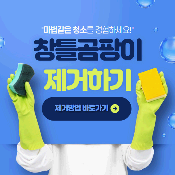 창틀 곰팡이 제거방법 및 예방방법 아직도 모르시나요?