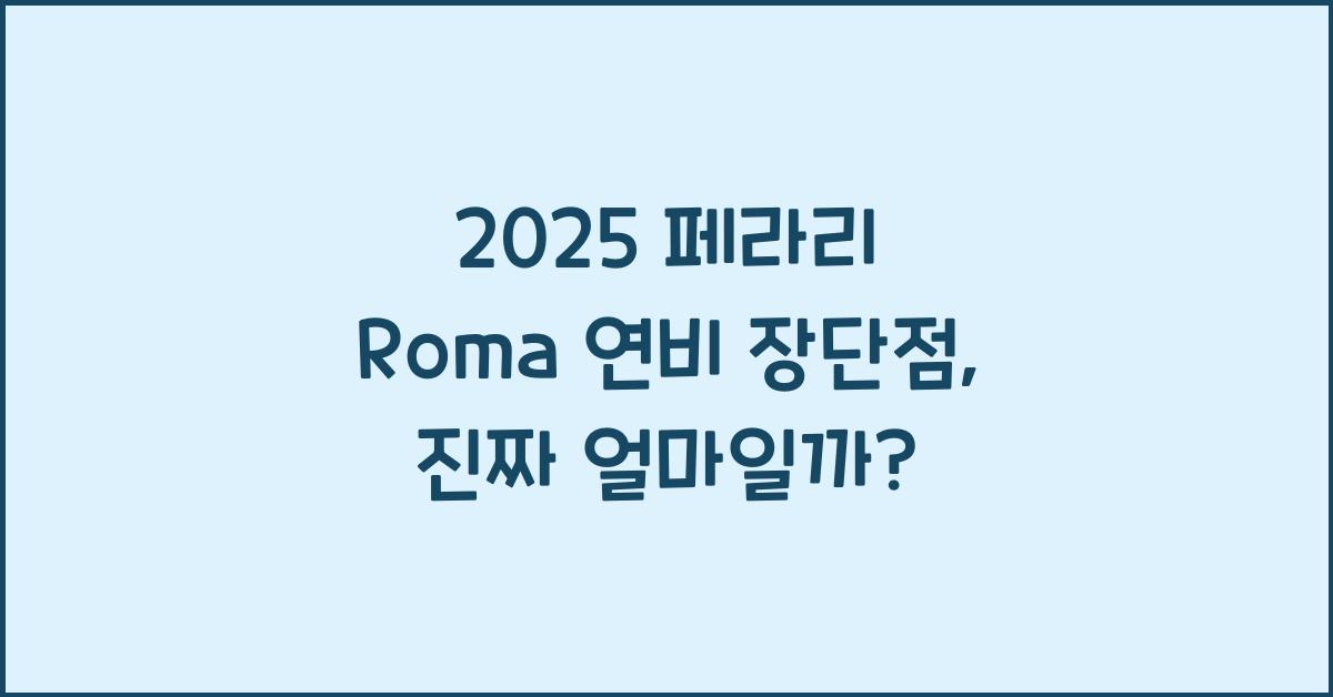 2025 페라리 Roma 연비 장단점