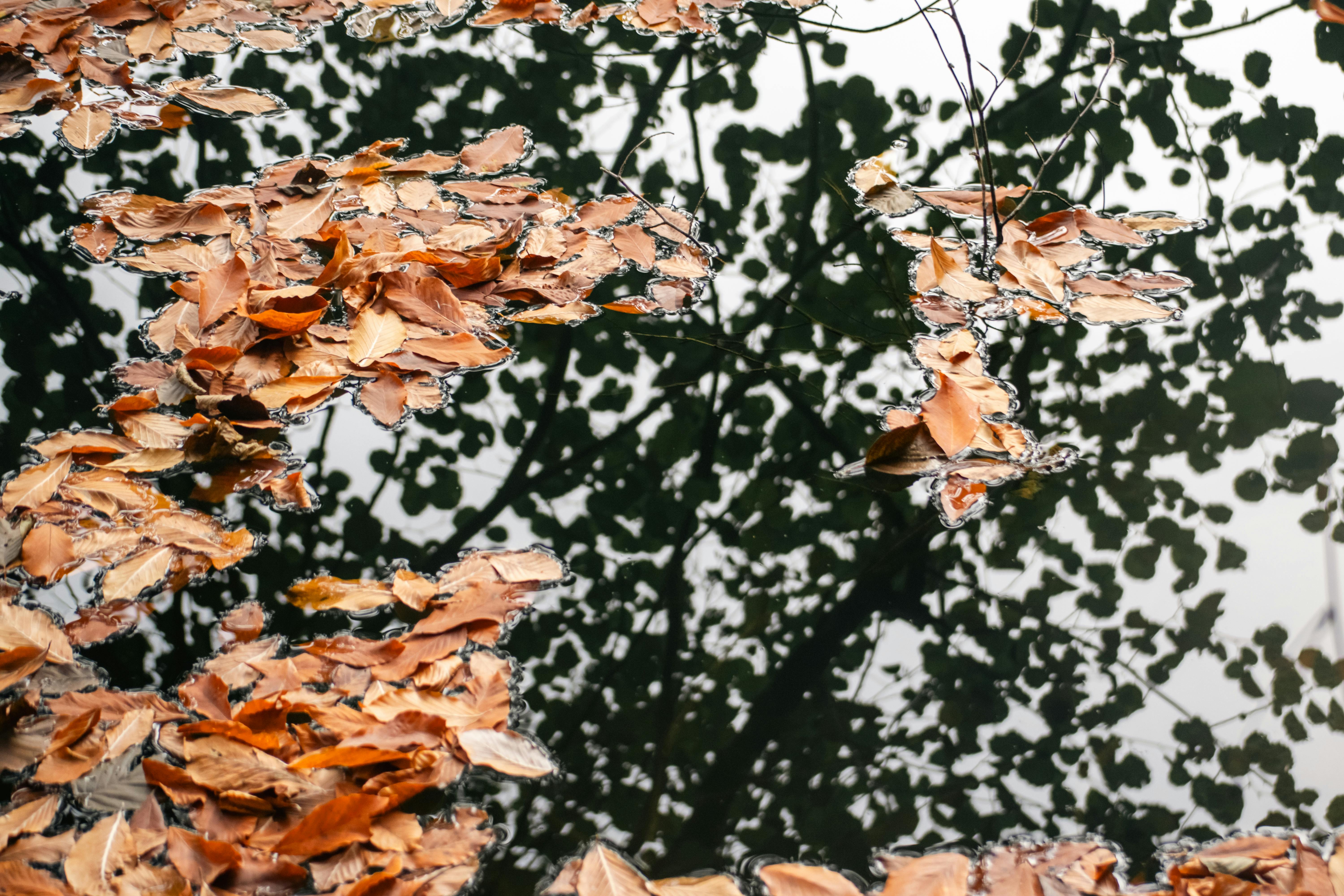 쿠팡 알바 출근 취소 이렇게 하면 손해본다|대기·확정 취소 패널티 차이 총정리