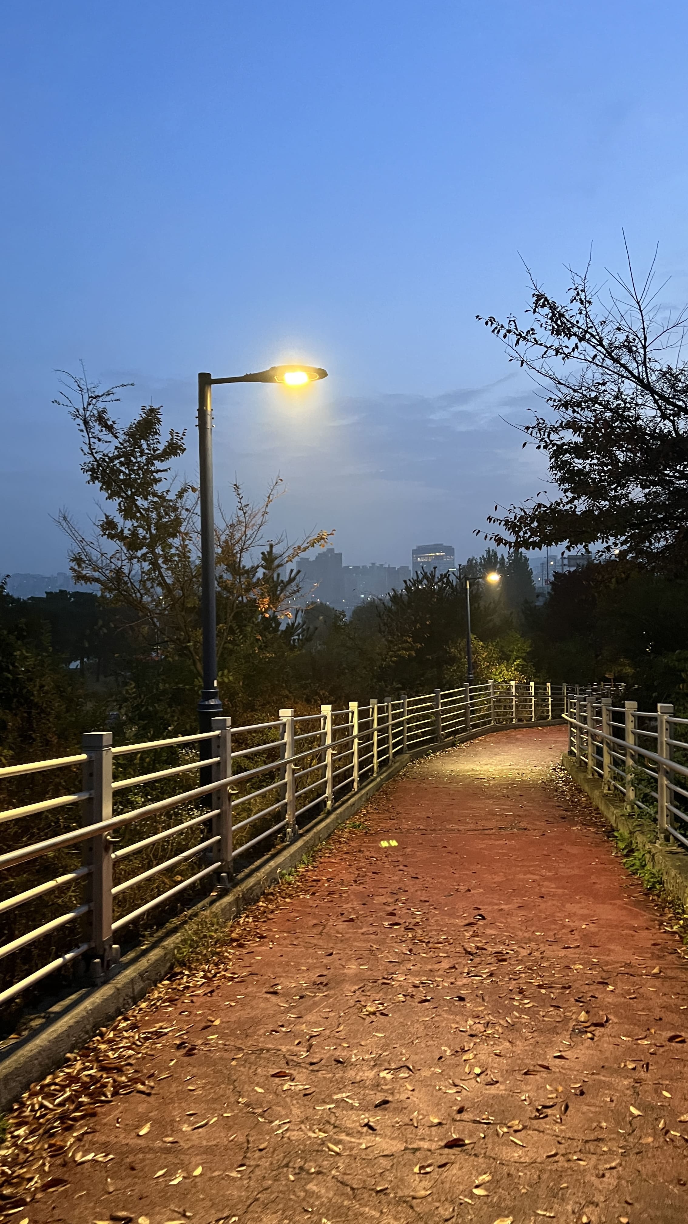 여의도 한강공원