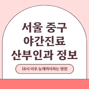 서울 중구 야간진료 산부인과 병원 (18시 이후 늦게까지하는 병원)
