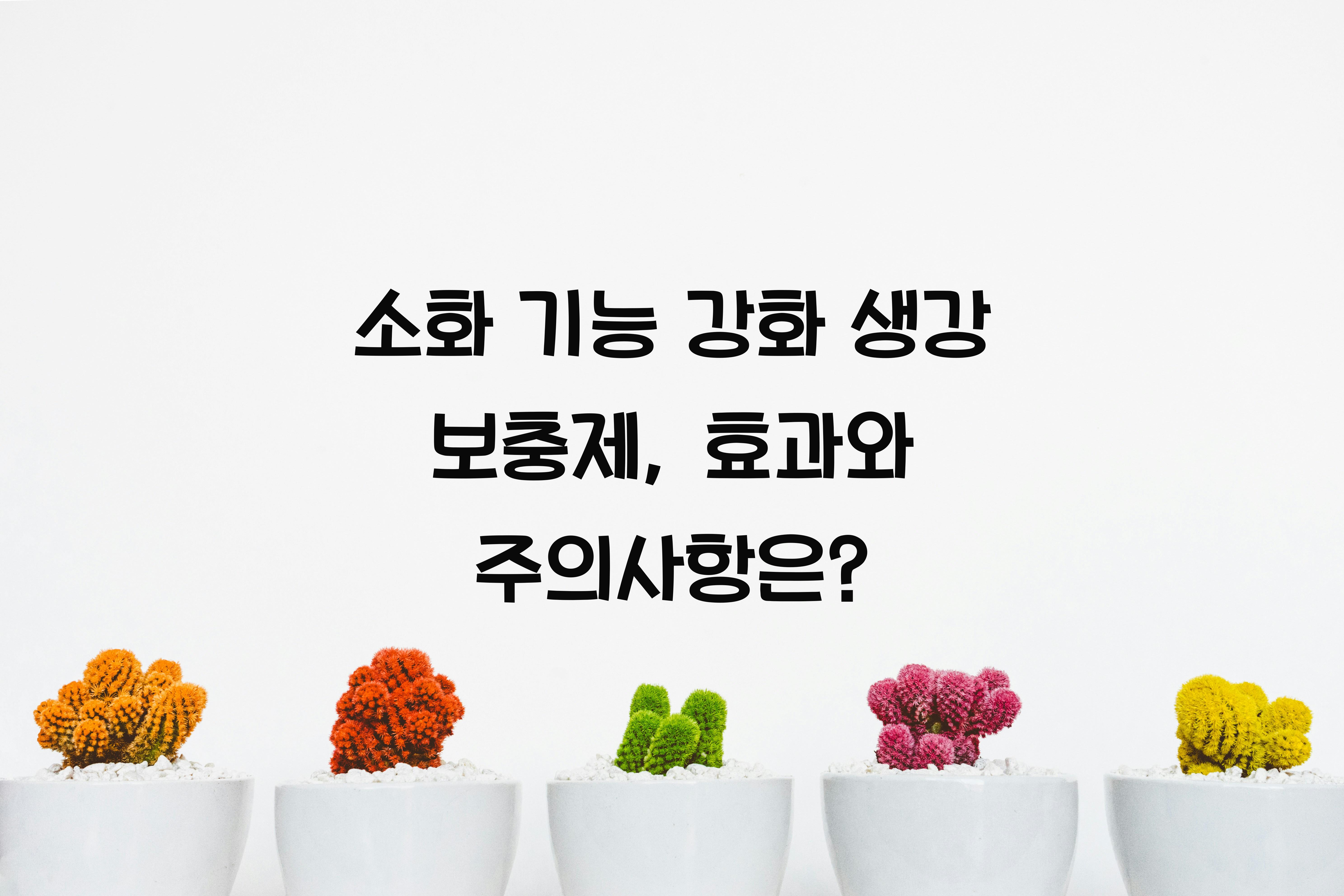 소화 기능 강화 생강 보충제